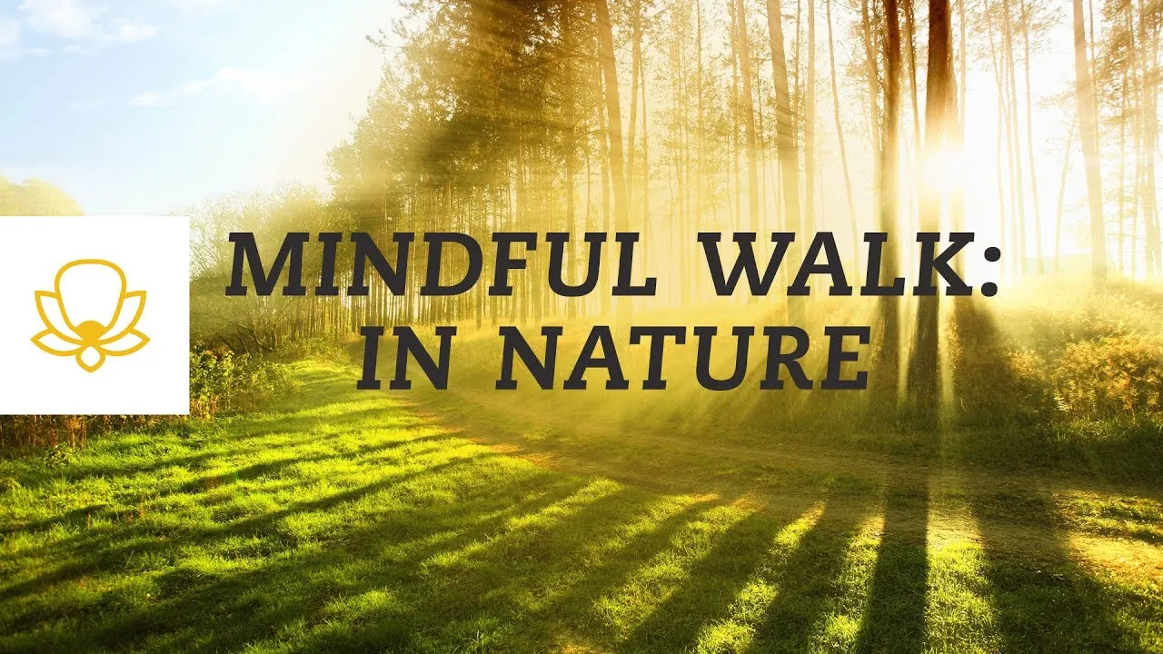 Mindful walking meditation in nature